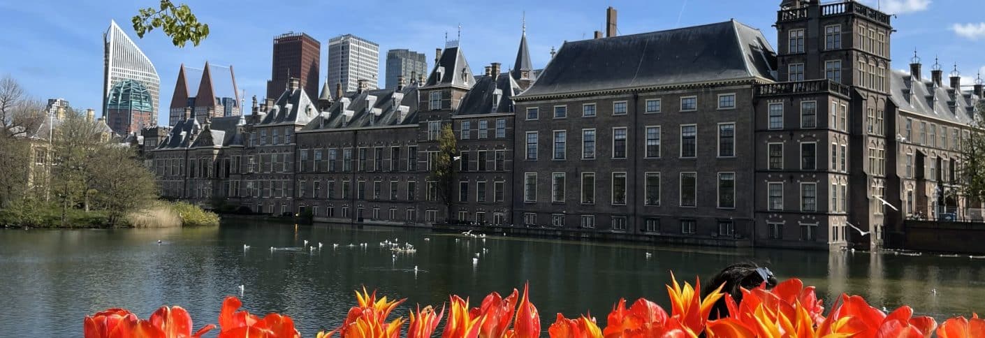 The Dutch Parliament in The Hague with tulips - De Hofvijver in Den Haag met tulpen.