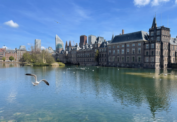 Foto van de hofvijver in Den Haag met de gebouwen van de Tweede Kamer op de achtergrond en een meeuw die op de voorgrond langs vliegt.